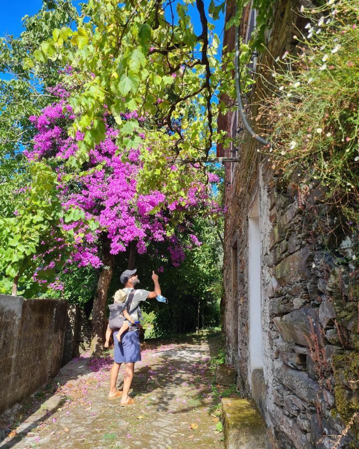 Out Of Town Hostel Castelo de Paiva Εξωτερικό φωτογραφία